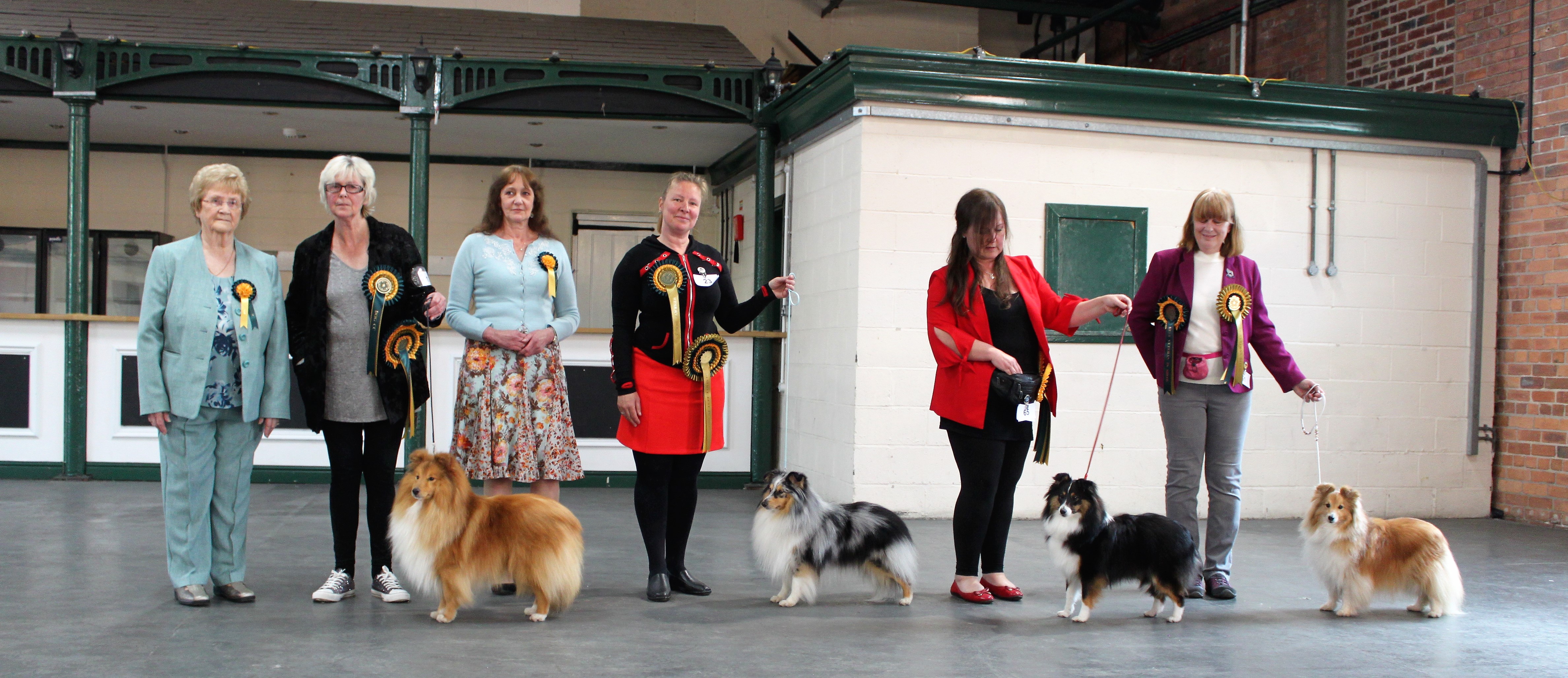 philhope shetland sheepdogs